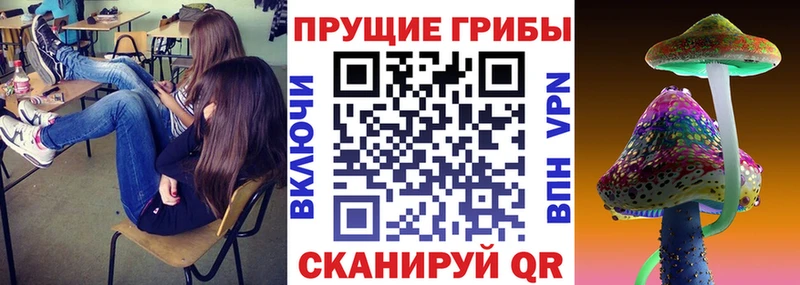 Купить  Севск  Псилоцибиновые грибы Magic Shrooms 