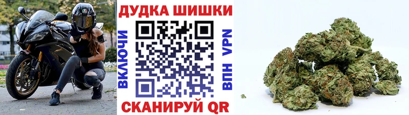 Бошки марихуана план  Купить закладки  Севск 